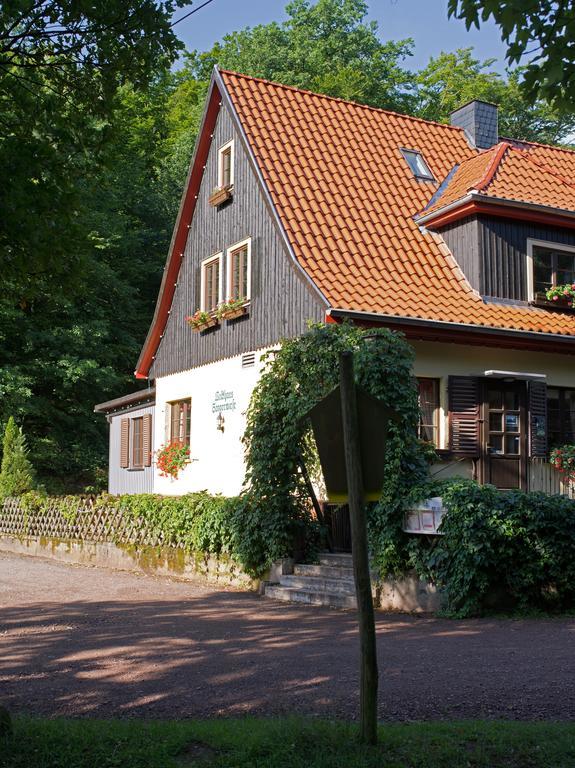Saengerwiese アイゼナハ 部屋 写真