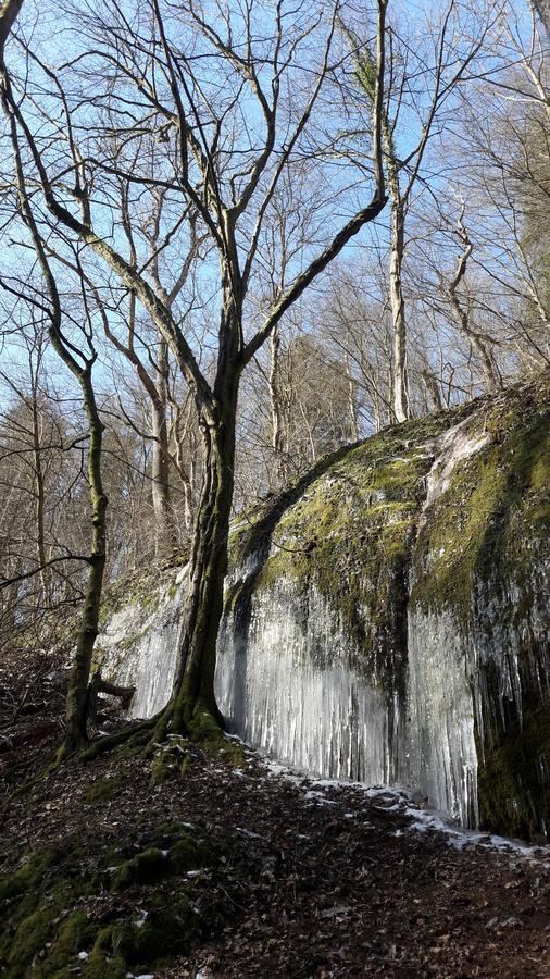 Saengerwiese アイゼナハ エクステリア 写真